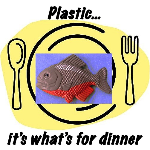 Plastic… it’s what’s for dinner