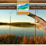 Permalink to Sources of Bird Fatalities Birds & Wind Turbines