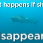 What would happen if Sharks---