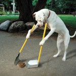 Permalink to What To Do When Your Dog Just Has To Go? doggie-pooper-scooper