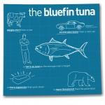 Permalink to SHOCKING: The Story of the Bluefin Bluefin Tuna Pic