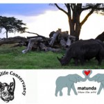 Permalink to Lewa Matunda Web post image