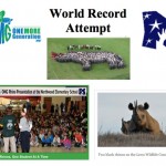 Permalink to Northwood Elementary School Attempts To Set A World Record To Save Rhinos Website Image